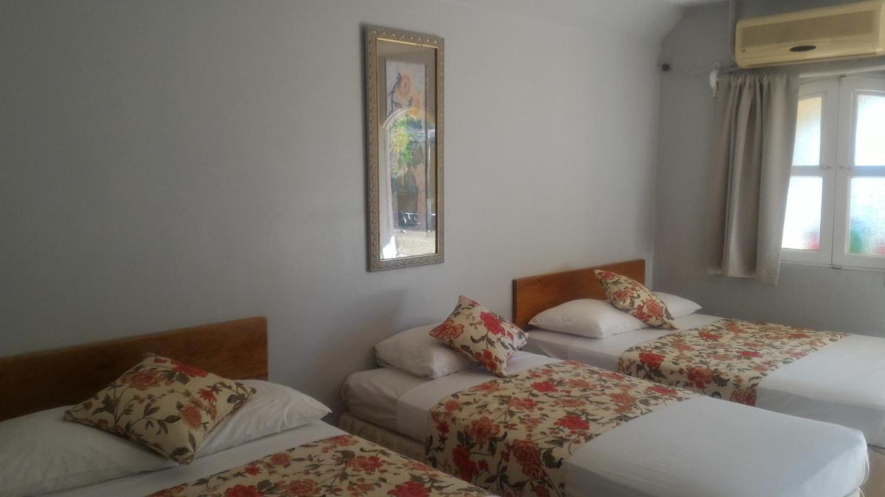 Hotel Royal Chateau 산 후안 델 수르 외부 사진