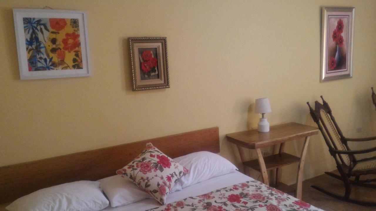 Hotel Royal Chateau 산 후안 델 수르 외부 사진